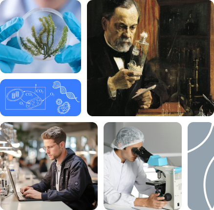 Получите мгновенные ответы по биологии с помощью репетитора по биологии на базе искусственного интеллекта